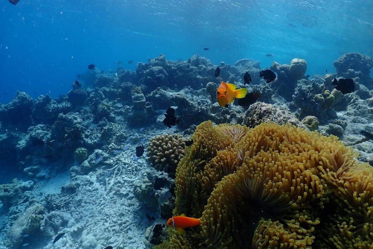 Отель Chambao Maldives Гурайдо Экстерьер фото